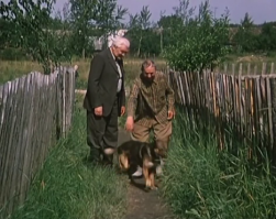 Вспомнился фильм "Белые росы" и эпизод где герои В.Санаева и Б.Новикова выпивали тёщину настойку, предварительно дав попробовать собаке !  :)