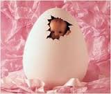 Процесс рождения человека не видел, да и честно говоря, не очень горю желанием !