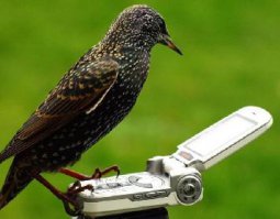 А чё, дело хорошее, нужное !  Только вот не низковато ли ?