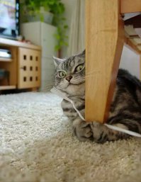 Согласен☺  Про семь гномов)) Трижды смотрел ( не помню оригинальное название )
И сейчас бы ( если есть где ( НЕ НА ТОРРЕНТАХ!), на Ю тубе, или гугл(яндекс) хранилищах  ПОЖАЛУЙСТА дай ссылку☺