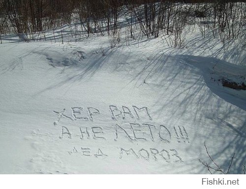 Пост позитива и юмора без политики 