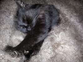 Моя первого числа...