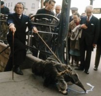 На первой фоте : (Дали - Диснею)
- Ты есть великий художник? 
Но вообще неординарный дядька был, что употреблял для созидания - вопрос.