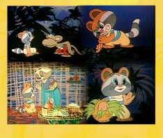 Пост обожания енотов