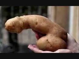 История вибраторов викторианской эпохи