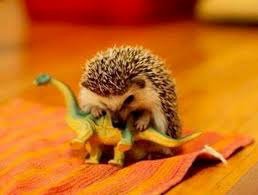 Ежа на него нет