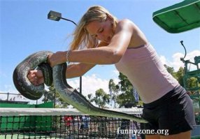 10 красивейших змей планеты