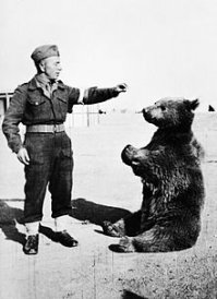 Войтек (1942—1963)  бурый медведь взятый на довольствие солдатами польской Армии.  При Монте-Кассино в Италии помогал польским артиллеристам разгружать ящики с боеприпасами и даже подносил снаряды во время боя, чем стал известен среди польских и английских военных