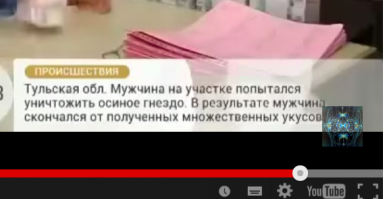 Гомер Симпсон?