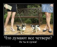 Вот тут:



...собачка слева должна была быть в джинсовом наряде. :)