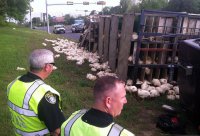 Почему-то тут Райкин вспомнился: "Все куры передохли, высылайте новый телескоп!". :)