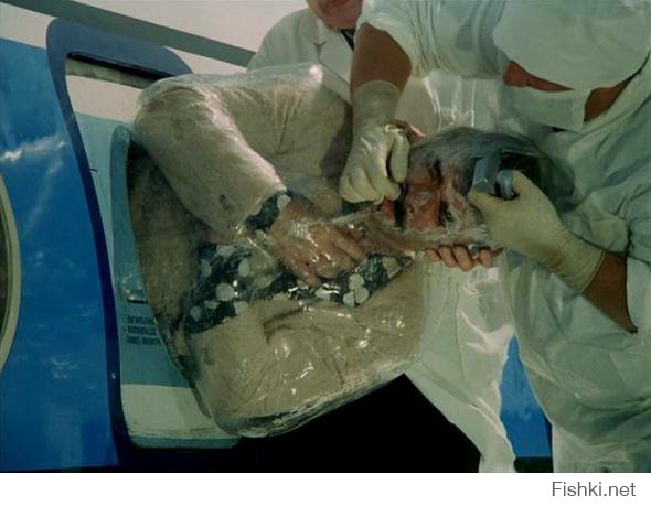 золотой век!
а я вот вспомнил итальянцев в России