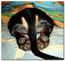 такие трогательные пятки)))))