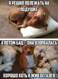 и глазки такие честные честные))) вот как не поверить?)))))