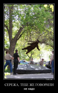 "Сережа, не надо"