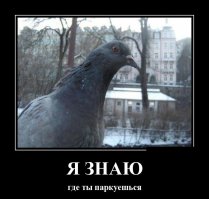 Загадка дня: Найди авто