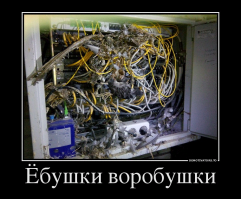 Удивительные птичьи гнезда