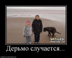 Гигантский каранкс атакован барракудой