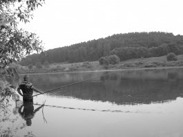 Раз пошло такое дело...