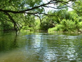 Раз пошло такое дело...