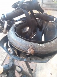 Наверное сегодня без шлема поеду..А лучше пешком пойду..