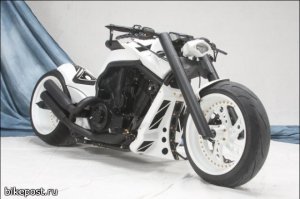 Кастом «Night Rod Gallardo» построили немецкие мастера «No Limits Customs», используя в качестве донора Harley-Davidson V-Rod. NLC сделали крышки двигателя, топливный бак, подножки, средства управления, зеркала и выхлопную систему. Мотоцикл покрашен в строгие черно-белые цвета с золотистыми винтиками и заклепками. 

Спецификация:
• Название: Night Rod Gallardo
• Год / Модель: 2008
• Двигатель: V-Rod
• Рама: Harley-Davidson, модифицирована
• Вилка, маятник: NLC
• Переднее колесо: 4.25 x 18'' «999 Design»,
• Заднее колесо: 10.5 x 18'' «999 Design»
• Передняя шина: 130/60 Metzeler
• Задняя шина: 300 Metzeler