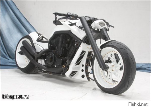 Кастом «Night Rod Gallardo» построили немецкие мастера «No Limits Customs», используя в качестве донора Harley-Davidson V-Rod. NLC сделали крышки двигателя, топливный бак, подножки, средства управления, зеркала и выхлопную систему. Мотоцикл покрашен в строгие черно-белые цвета с золотистыми винтиками и заклепками. 

Спецификация:
• Название: Night Rod Gallardo
• Год / Модель: 2008
• Двигатель: V-Rod
• Рама: Harley-Davidson, модифицирована
• Вилка, маятник: NLC
• Переднее колесо: 4.25 x 18'' «999 Design»,
• Заднее колесо: 10.5 x 18'' «999 Design»
• Передняя шина: 130/60 Metzeler
• Задняя шина: 300 Metzeler