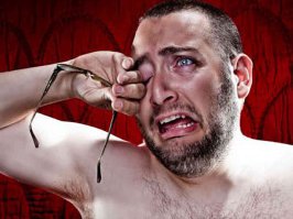 17 исполненных желаний