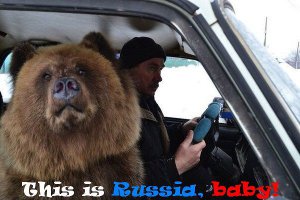 Немного стереотипных мишек