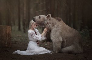 Немного стереотипных мишек