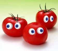“TomTato”: гибрид картофеля и помидора
