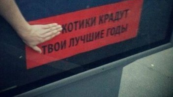 Милые создания