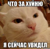 Как мой приятель учился на «оппозиционера». Смешная история