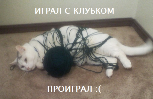 Котёнки и совёнки.