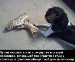 Не, эту собаку они не переплюнут.