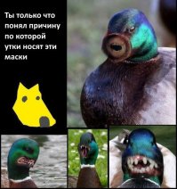 Вот почему утки носят маску собаки: