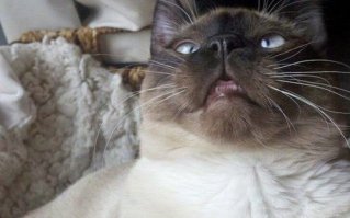 Скоро на всех батареях страны