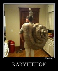 Фотографии из серии WTF