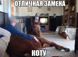 У Пеппи Длинныйчулок научился!!!