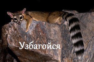 Надо тогда и йаду
Пару давать надо...