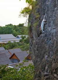 А вот котику в магазине не понравилось по-ходу...