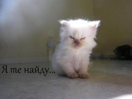 Фотоподборка за 20.04.2015