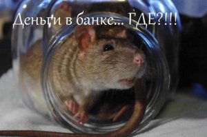 Смешные картинки с надписями