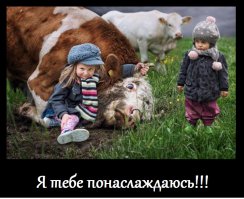 20 животных, наслаждающихся весной