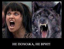 Животные похожие на людей