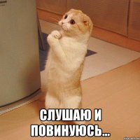 Слушаю и повинуюсь!!! Убрал дурацкий комментарий...