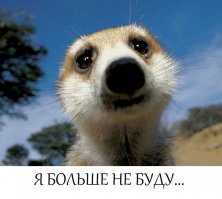 А вежливость-то где?
"ОТТОМ" вот тоже как-то "ниправельна" Вы "накловиотурили"...
Простите за критику