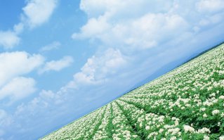 Катя-Катерина, эх, душа!!! 
До чего ж ты Катя хороша!!! 
Ягода-малина, Катя-Катерина!!!