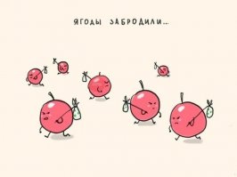 Секреты чайного гриба