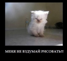 13 остроумных кошачьих иллюстраций